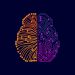 What are the basics of data science?