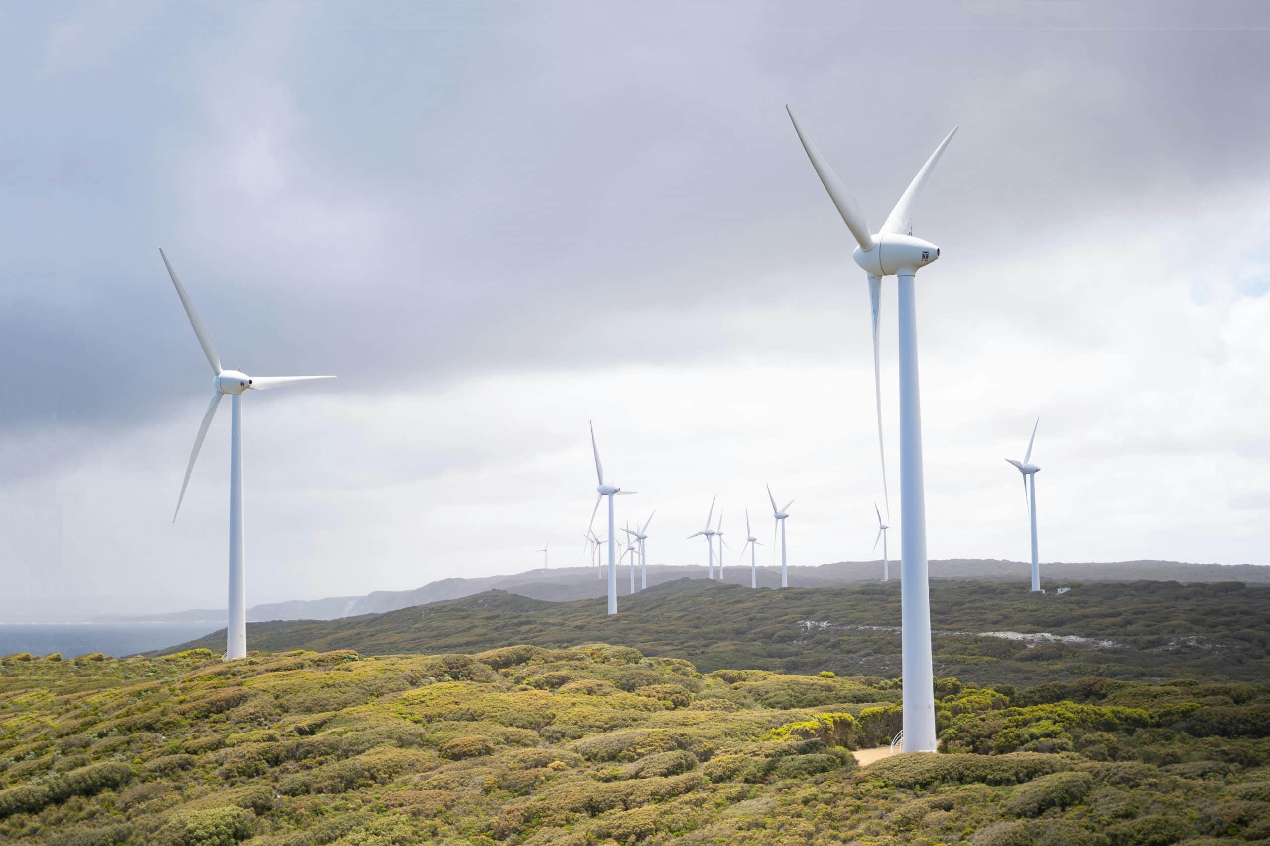 Saint John Energy | Zero30 | Deloitte